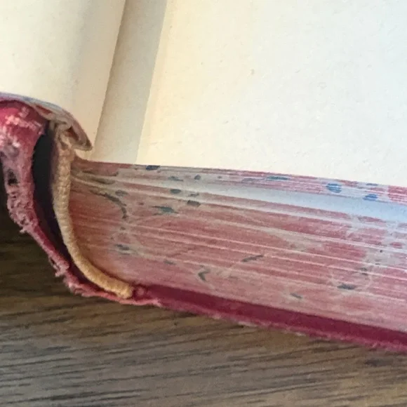 Beacon Lights of Prophecy Decorative Red Hardcover Book - Picture 9 of 16